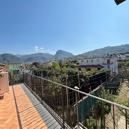 Intero A , Le Ortensie *