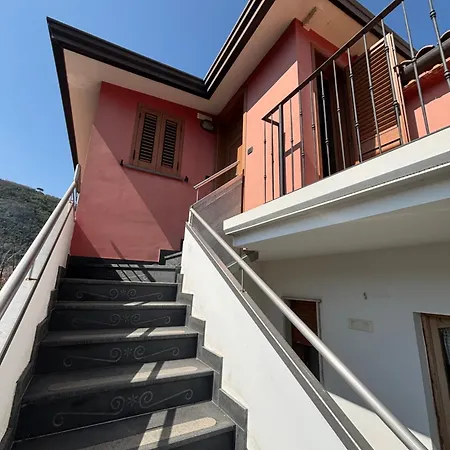 Intero A , Le Ortensie *