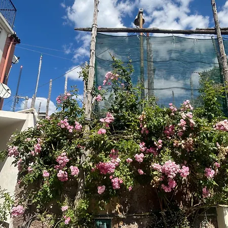 Apartamento Intero A , Le Ortensie