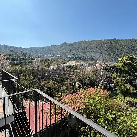 Intero A , Le Ortensie