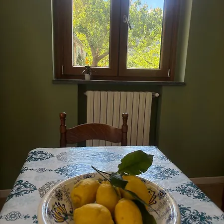 Intero A , Le Ortensie *